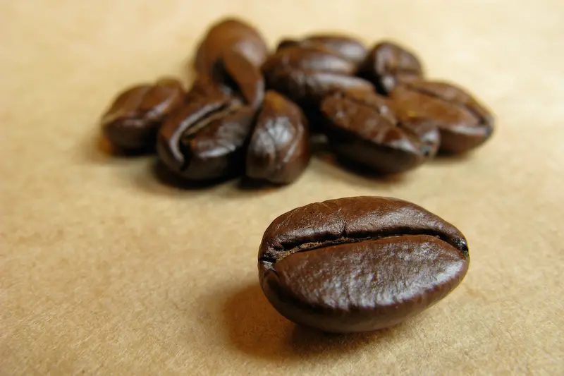 เมล็ดกาแฟอาราบิก้ากับโรบัสต้าต่างกันอย่างไร